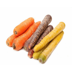 Zanahoria de colores 500gr